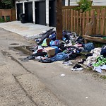 Litter Public Property at 15106 105 Avenue NW