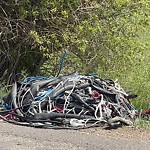 Litter Public Property at 1704 28 Avenue SW