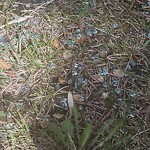Litter Public Property at N53.54 E113.54