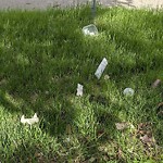 Litter Public Property at 16940 87 Avenue NW