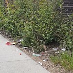 Litter Public Property at 6004 Currents Drive NW