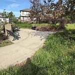 Litter Public Property at 16504 135 Street NW