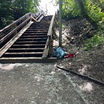 Litter Public Property at 10904 88 Avenue NW