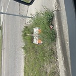 Litter Public Property at 153 Ave NW