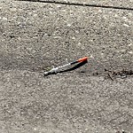 Litter Public Property at 4711 132 Avenue NW