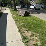 Litter Public Property at 10047 89 Avenue NW