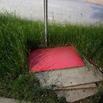 Litter Public Property at 151 Edwards Drive SW