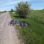 Litter Public Property at 2043 17 Street SW