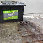 Litter Public Property at 10803 Jasper Avenue NW