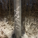 Graffiti Public Property at 106 Avenue NW & 84 Street NW