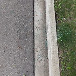 Litter Public Property at 11824 65 Street NW