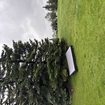 Litter Public Property at Lee Ridge Park