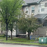 Litter Public Property at 346 Watt Boulevard SW