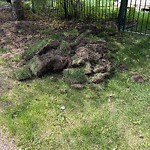 Litter Public Property at 1615 126 Street SW