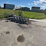 Litter Public Property at 6214 Cartmell Court SW
