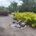 Litter Public Property at 9812 96 A Street NW