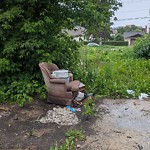 Litter Public Property at 10756 79 Avenue NW