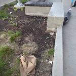 Litter Public Property at 10044 113 Street NW