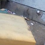 Litter Public Property at N53.54 E113.50