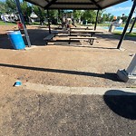 Litter Public Property at 1101 Grantham Drive NW