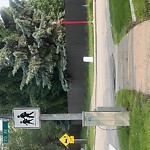 Litter Public Property at 10492 20th Ave Nw, Edmonton T6 J 5 A2