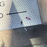Litter Public Property at 10135 100 Street NW