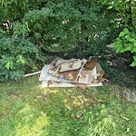 Litter Public Property at 10849 81 Avenue NW