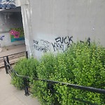 Graffiti Public Property at 10909 99 Avenue NW