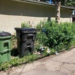Litter Public Property at 5507 84 Avenue NW