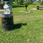 Litter Public Property at 17635 76 Avenue NW