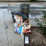 Litter Public Property at 10204 105 Street NW