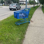 Litter Public Property at 2020 105 Street NW