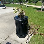 Litter Public Property at 181 Ambleside Drive SW