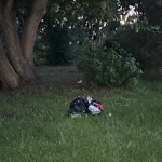 Litter Public Property at 11135 76 Avenue NW