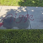 Graffiti Public Property at N53.56 E113.56