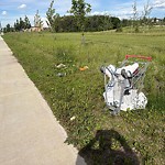 Litter Public Property at 11810 35 Avenue SW