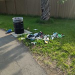 Litter Public Property at 4800 111 Street NW Unit 0