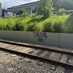 Graffiti Public Property at 9818 109 Street NW