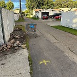Litter Public Property at 15315 110 A Avenue NW