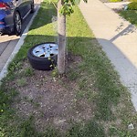 Litter Public Property at 189 Cavanagh Common SW