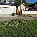 Litter Public Property at 6750 88 Street NW