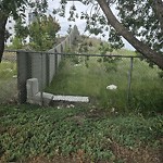 Litter Public Property at 321 Clareview Station Drive NW