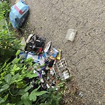 Litter Public Property at 11819 52 Street NW