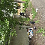 Litter Public Property at 11816 52 Street NW