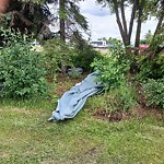 Litter Public Property at 137 Ave NW