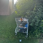 Litter Public Property at 9625 156 Street NW