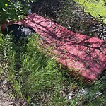 Litter Public Property at 15701 79 A Avenue NW