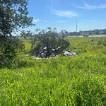 Litter Public Property at 19050 Stony Plain Road NW