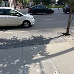 Litter Public Property at 9954 Jasper Avenue NW