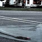 Litter Public Property at 3803 Calgary Trail NW